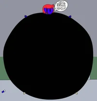 Blueberry Ellie Rose