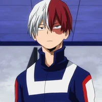 Shoto Todoroki 