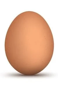 Egg