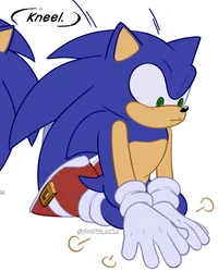 Sonic the Hegdehog