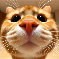 Whats Your Type Quiz