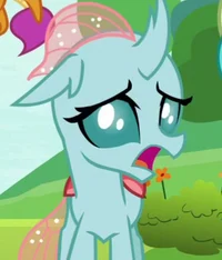 Ocellus