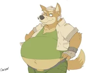 Fox McCloud