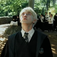 Draco M