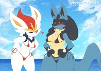 Cinderace n lucario 