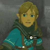 botw - link