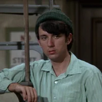 Mike Nesmith 