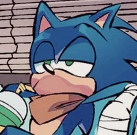 Sonic The Hedgehog
