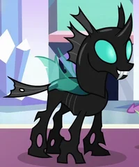 Thorax from MLP