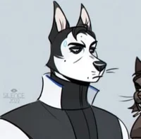 RK-900 Furry