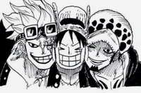 Kid Law Luffy