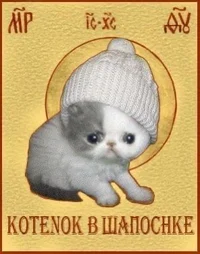 Kitten in a hat