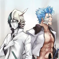 Ulquiorra Grimmjow