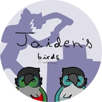 Jaidens birds