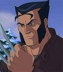 Wolverine