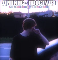 Дипинс
