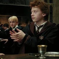 Ron and Draco