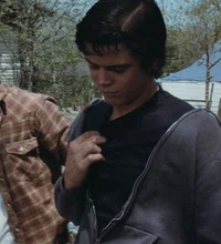 Ponyboy Curtis 