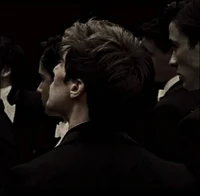 knights of walpurgis