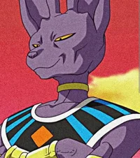 Lord Beerus 