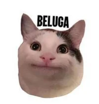 Beluga discord chat