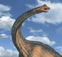 Brachiosaurus