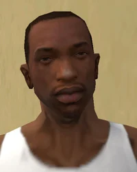 Carl Johnson CJ