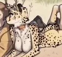 Cheetah girl