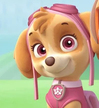 Skye PAW Patrol
