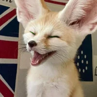Henry Fox 