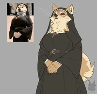 Shiba nun