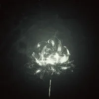 Truxim