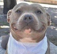 Gortholox Worldender