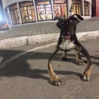 arthurmorganslungs