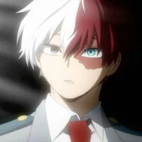 Shoto Todoroki 