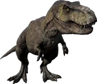 Rexy