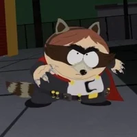 The Raccoon