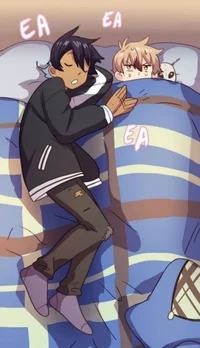 david x felix de web