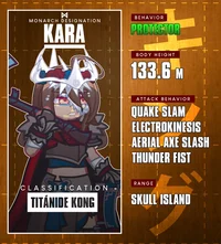 Kara-3rd Generation2