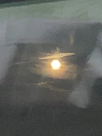 Anti-Hero - Gem Gray