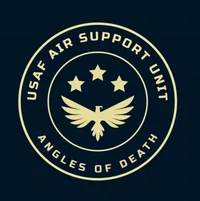 Air Support Unit rpg