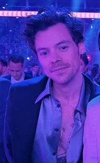 Harry styles - 2025