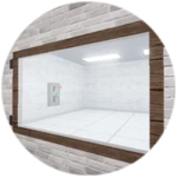 The mirror 