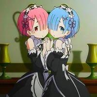 Rem y ram