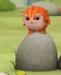 Cassi