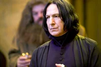 Sev Snape