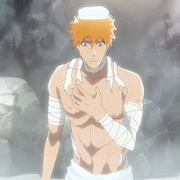 Ichigo Kurosaki 