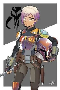 Sabine wren 