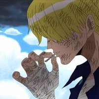 Sanji vinsmoke