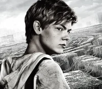 TMR Newt